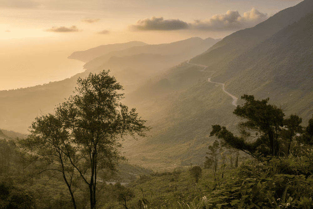 Hai Van Pass is often covered in mist, especially in the early morning and late afternoon, so you should drive carefully (Source: Internet)